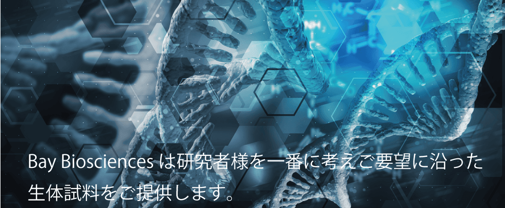 生体試料の科学的背景 — DNA構造
